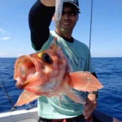 鯛紅丸 釣果