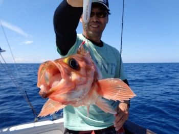 鯛紅丸 釣果