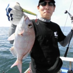 鯛紅丸 釣果