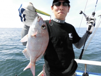 鯛紅丸 釣果