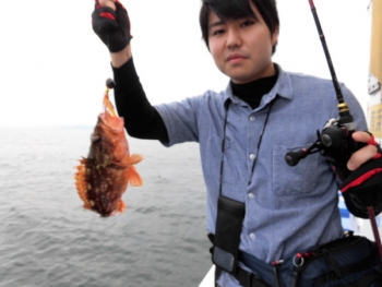 鯛紅丸 釣果