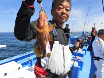 鯛紅丸 釣果