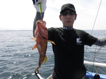 鯛紅丸 釣果