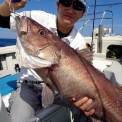 鯛紅丸 釣果
