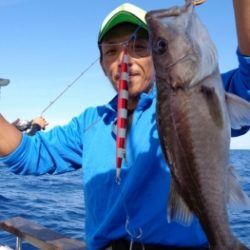 鯛紅丸 釣果