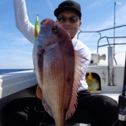 鯛紅丸 釣果