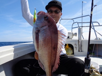 鯛紅丸 釣果