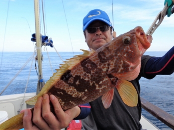 鯛紅丸 釣果