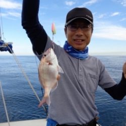 鯛紅丸 釣果
