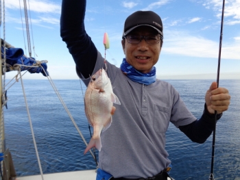 鯛紅丸 釣果