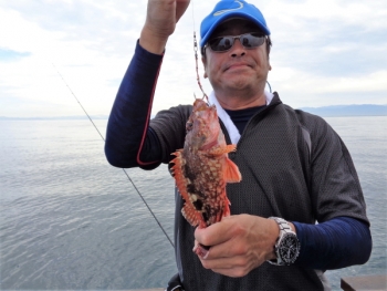 鯛紅丸 釣果