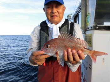 鯛紅丸 釣果
