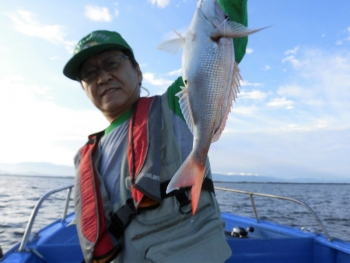 鯛紅丸 釣果