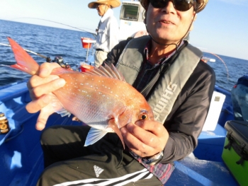 鯛紅丸 釣果