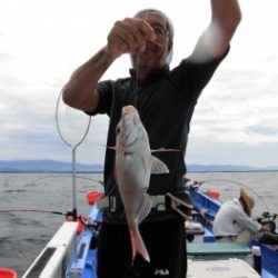 鯛紅丸 釣果