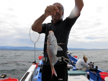 鯛紅丸 釣果
