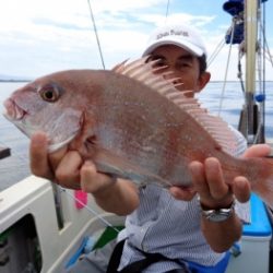 鯛紅丸 釣果