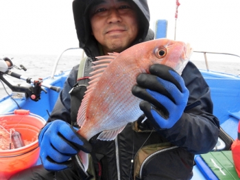 鯛紅丸 釣果