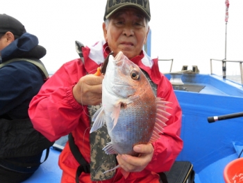 鯛紅丸 釣果