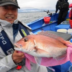 鯛紅丸 釣果