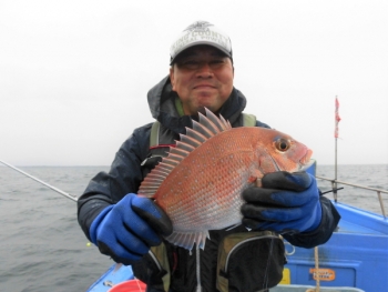 鯛紅丸 釣果