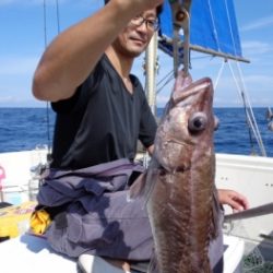 鯛紅丸 釣果