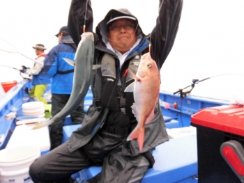 鯛紅丸 釣果