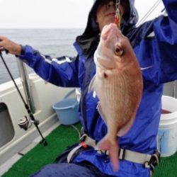 鯛紅丸 釣果