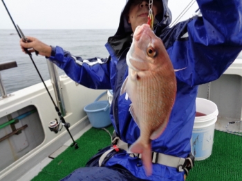 鯛紅丸 釣果