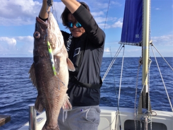 鯛紅丸 釣果