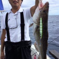 鯛紅丸 釣果