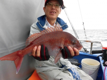 鯛紅丸 釣果