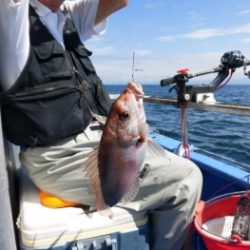 鯛紅丸 釣果