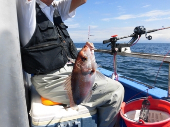 鯛紅丸 釣果