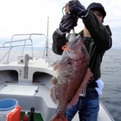 鯛紅丸 釣果