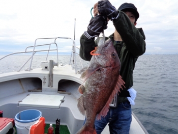 鯛紅丸 釣果