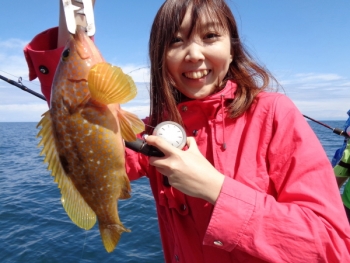 鯛紅丸 釣果