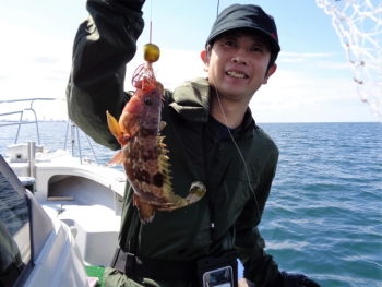 鯛紅丸 釣果