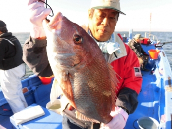 鯛紅丸 釣果