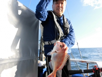 鯛紅丸 釣果
