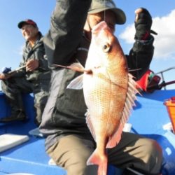 鯛紅丸 釣果