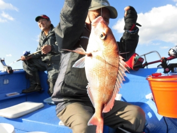 鯛紅丸 釣果