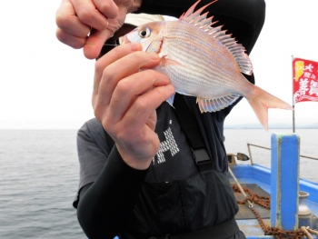 鯛紅丸 釣果