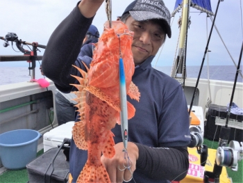 鯛紅丸 釣果