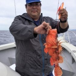 鯛紅丸 釣果