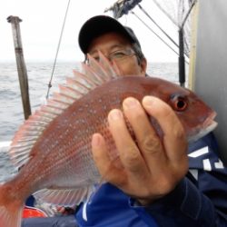 鯛紅丸 釣果