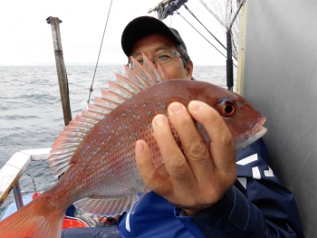 鯛紅丸 釣果