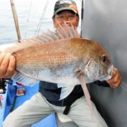 鯛紅丸 釣果