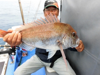 鯛紅丸 釣果