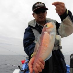 鯛紅丸 釣果